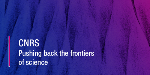 The CNRS presentation brochure cover
