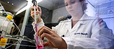 © Hubert Raguet / Cyceron / CNRS Photothèque