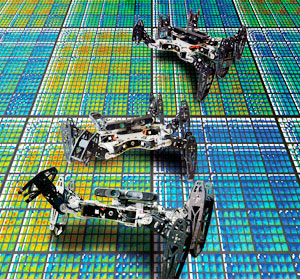 © Antoine Cully / Jean-Baptiste Mouret / CC BY SA / UPMC / CNRS Photothèque