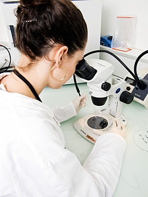 © Cyril Fresillon / CNRS Photothèque
