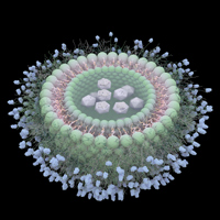 © CNRS Photothèque/SAGASCIENCE / CAILLAUD François