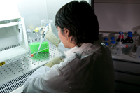 © CNRS Photothèque / RAGUET Hubert