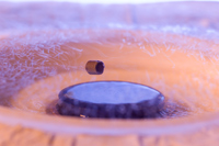 © CNRS Photothèque / JANNIN François