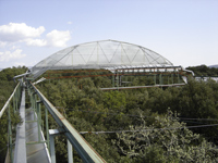 © CNRS Photothèque / CDREAM/CEFE / BLATRIX Rumsaïs