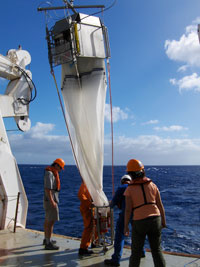 © CNRS Photothèque / Thibault DE GARIDEL-THORON