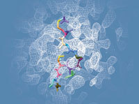 © Équipes EDP et Nano-D (Inria/LJK)